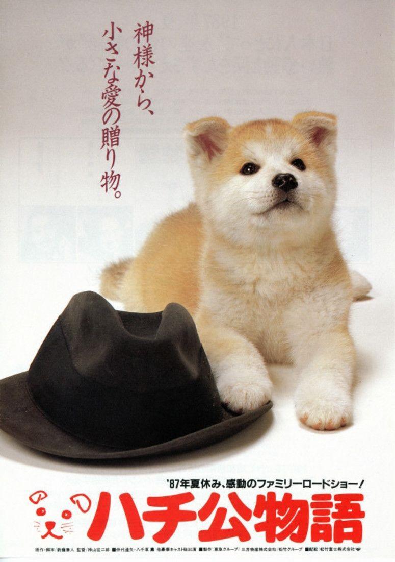 Historia de Hachiko