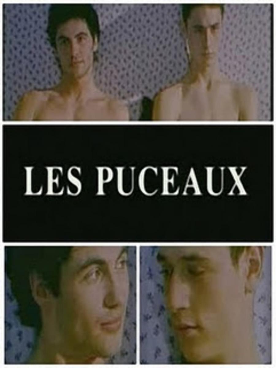 Les puceaux (S)