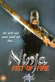 Ninja Fist of Fire