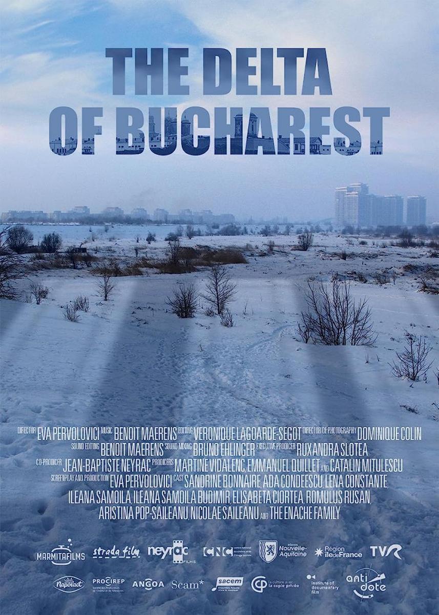 The Delta Of Bucharest