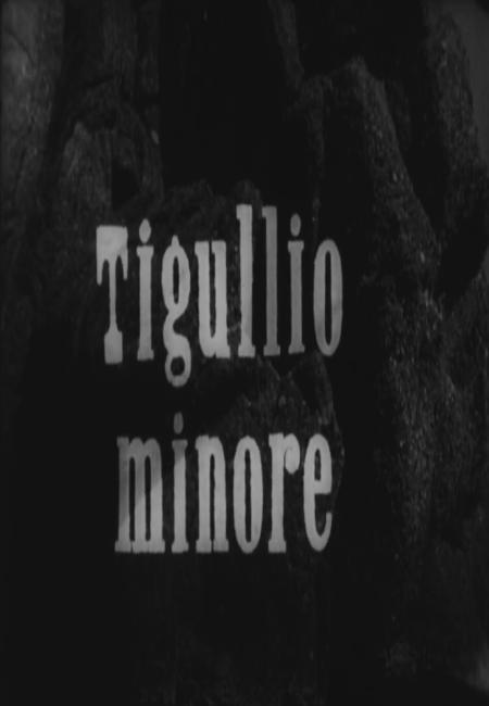 Tigullio minore (S)