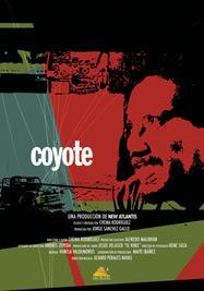 Coyote