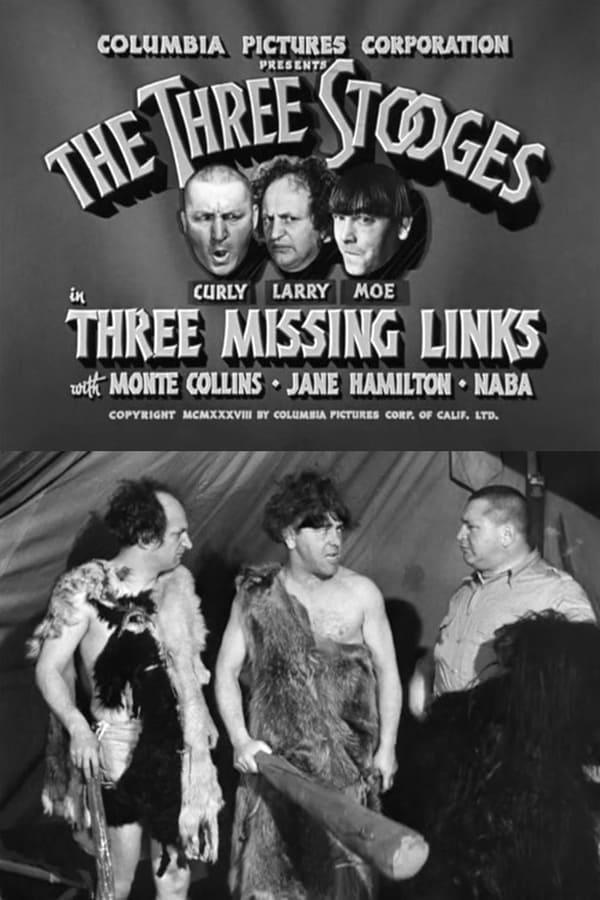 Three Missing Links (C)