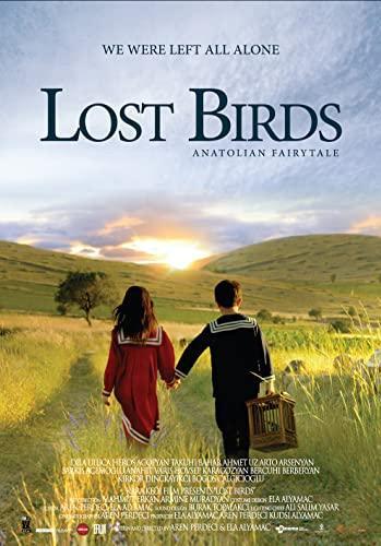 Lost Birds