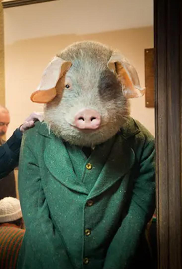 The Guardian - Three Little Pigs