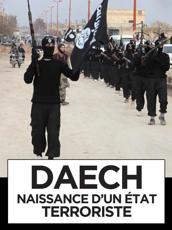 D.A.E.C.H., naissance d'un état terroriste (TV)