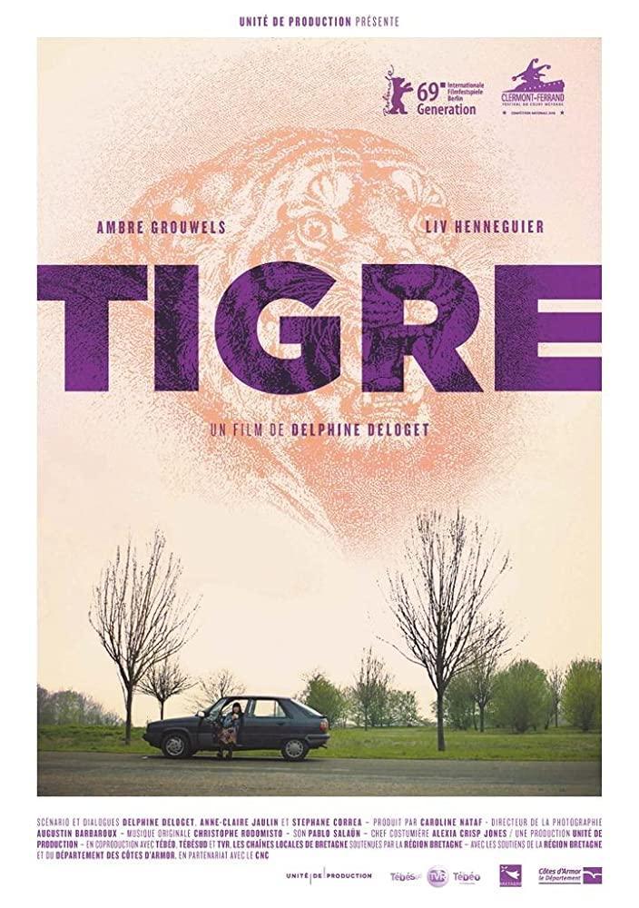 Tigre (C)