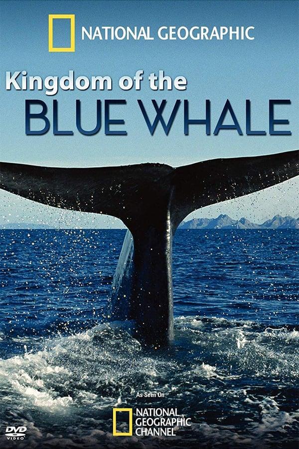 Kingdom of the Blue Whale (TV)