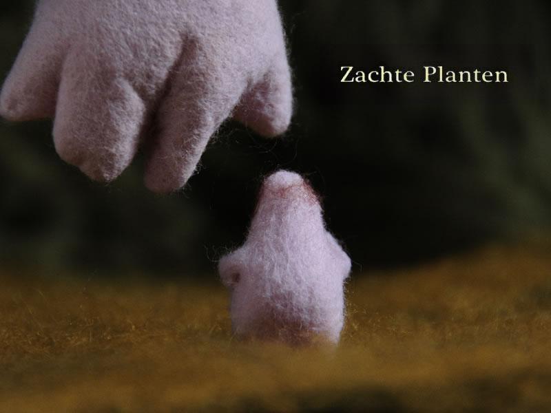 Zachte Planten (C)