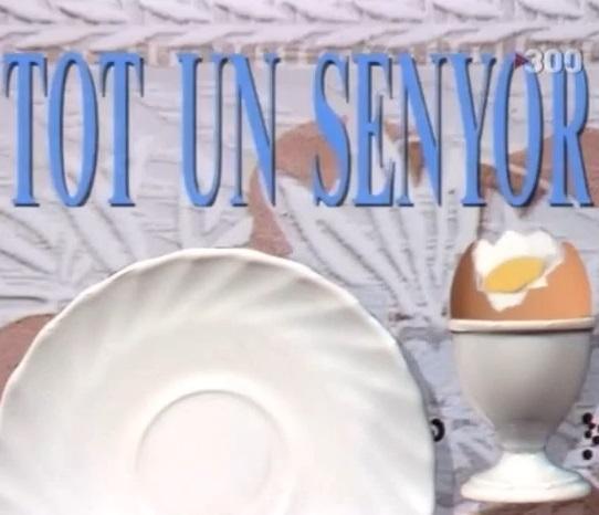 Tot un senyor (Serie de TV)