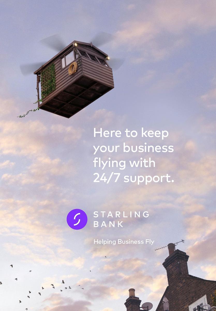 Starling: Off the Ground (C)