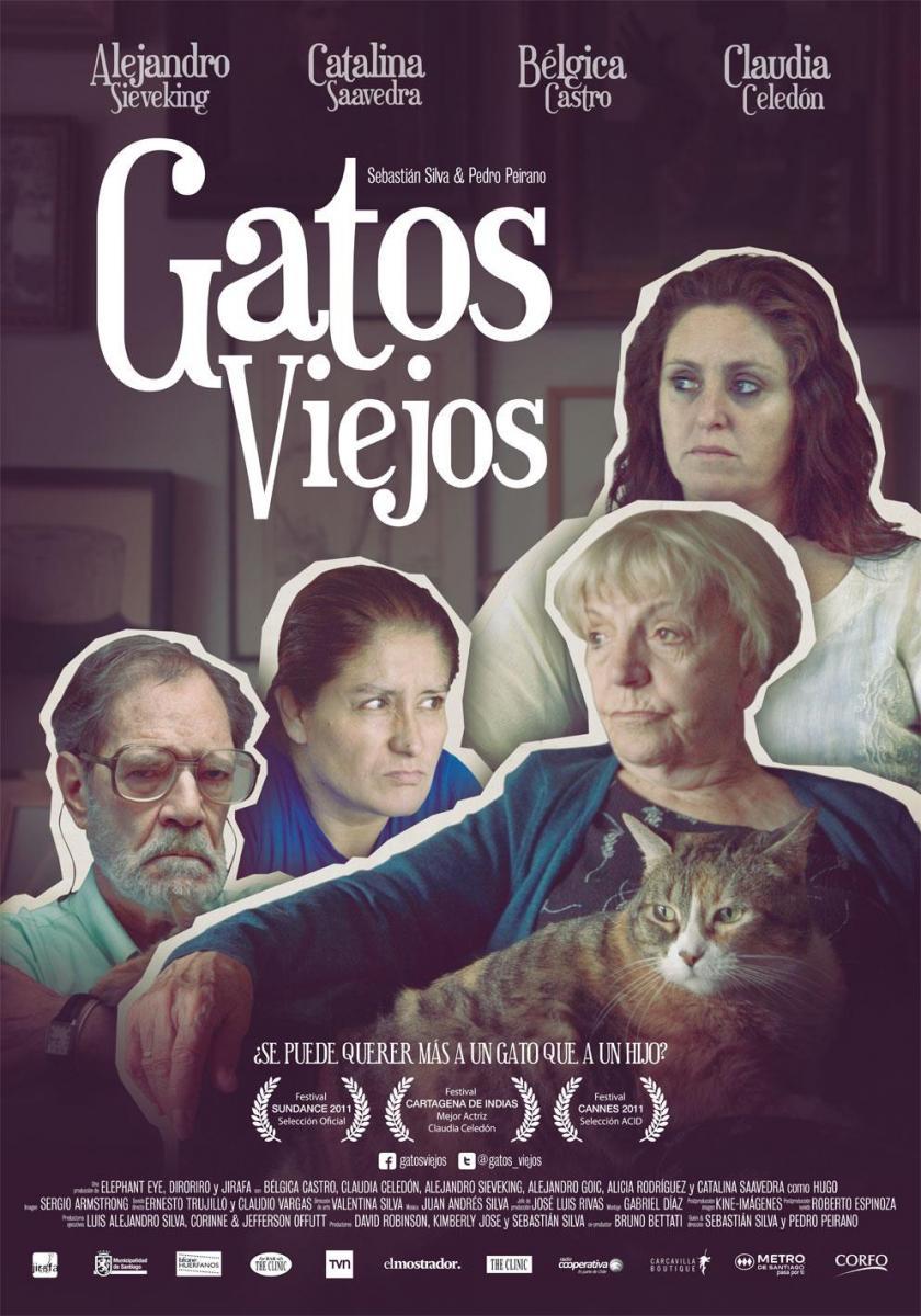 Gatos viejos