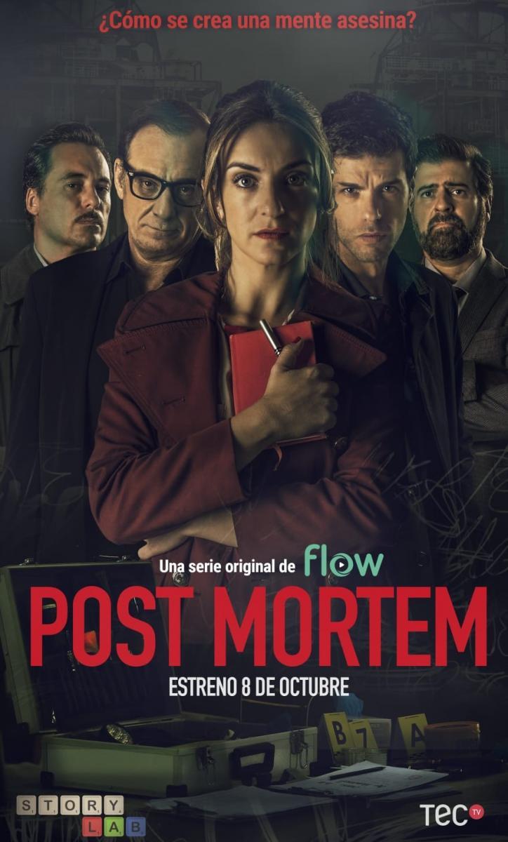 Post mortem (Miniserie de TV)