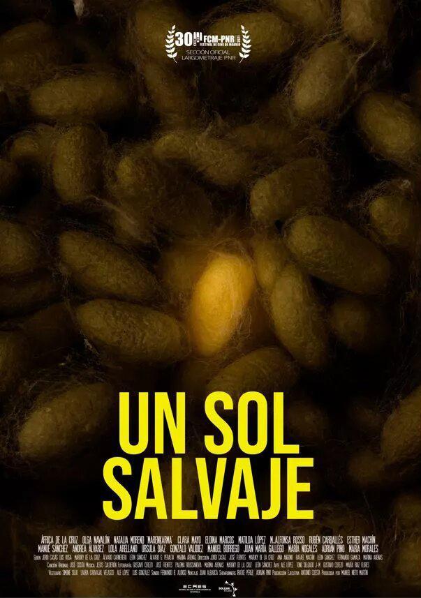 Un sol salvaje