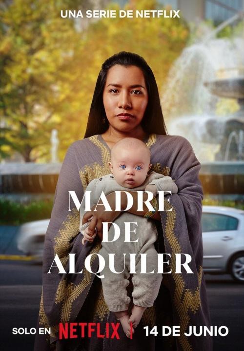 Madre de alquiler (Serie de TV)