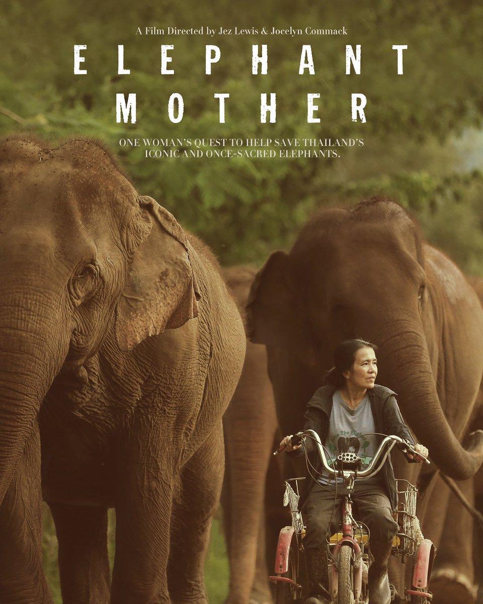 Elephant Mother