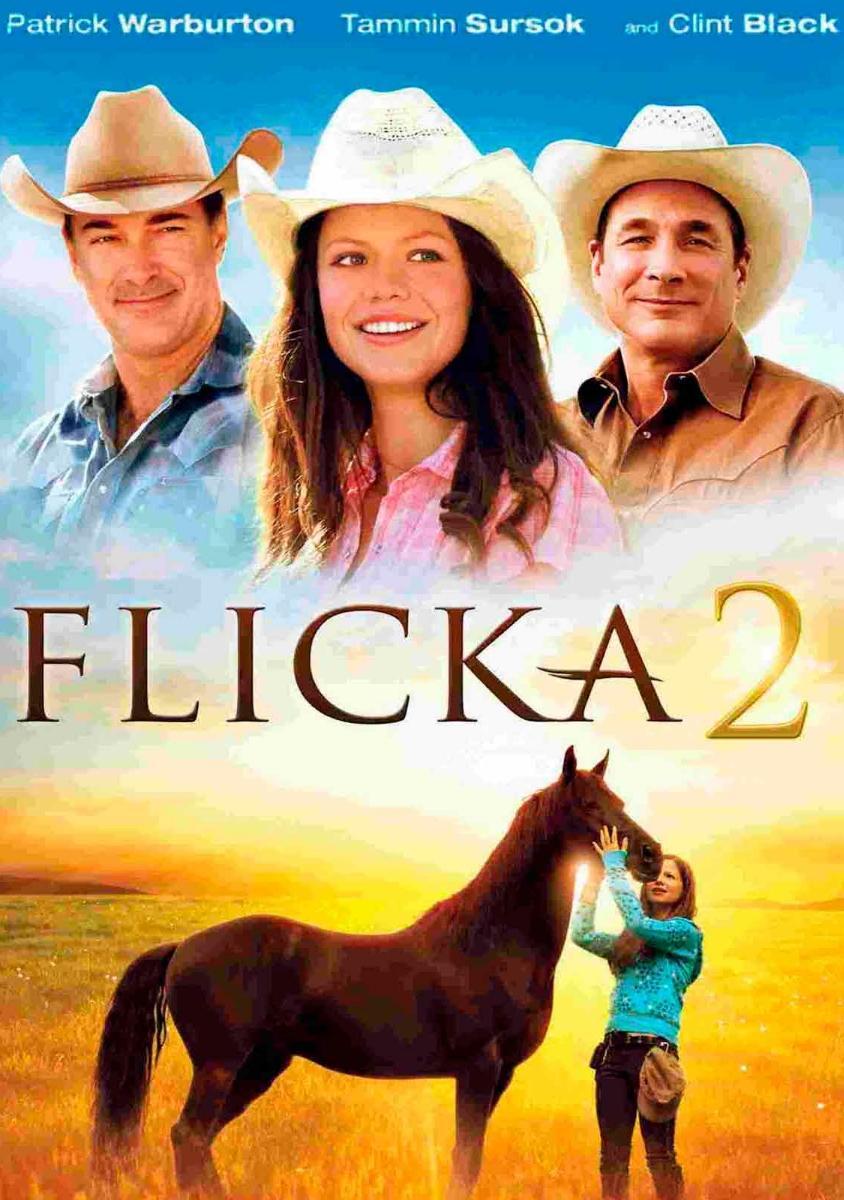 Flicka 2