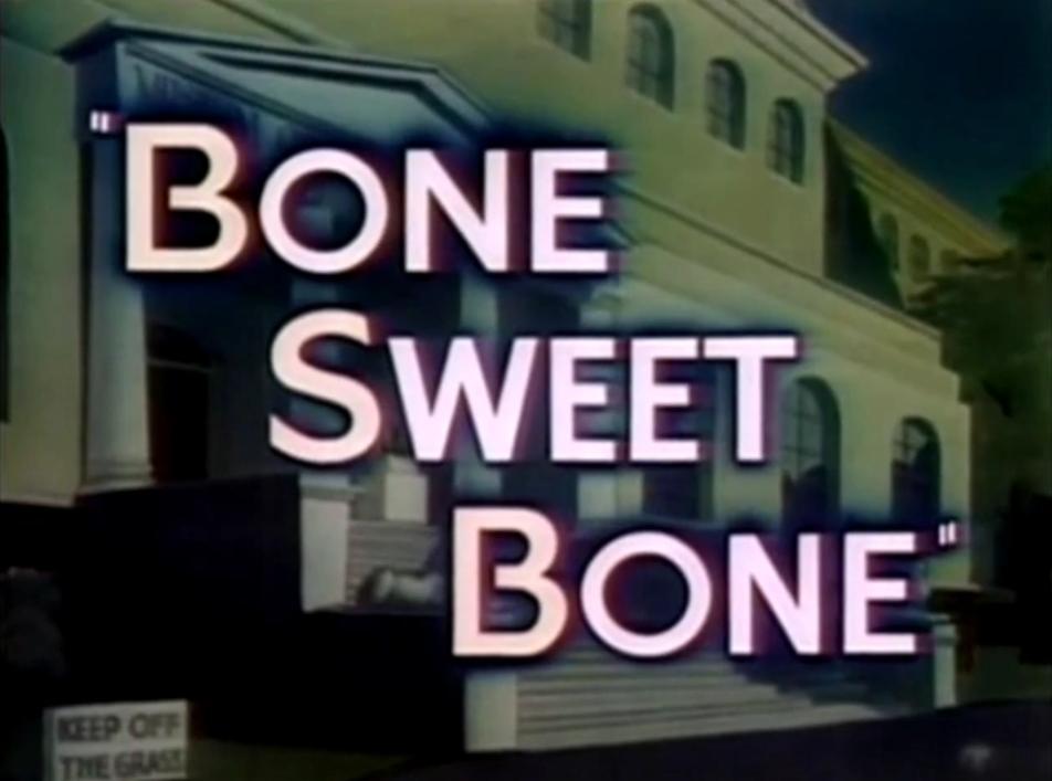 Bone Sweet Bone (S)