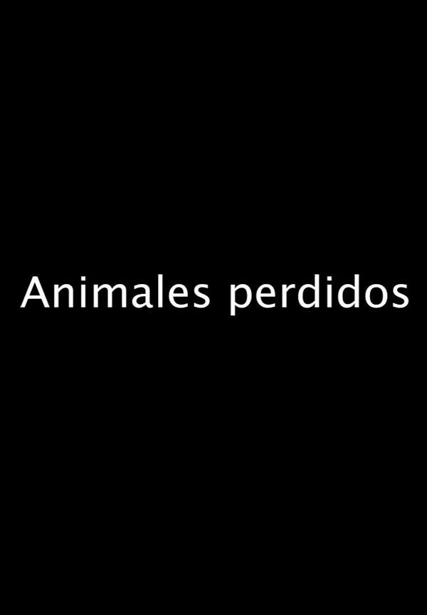 Animales perdidos