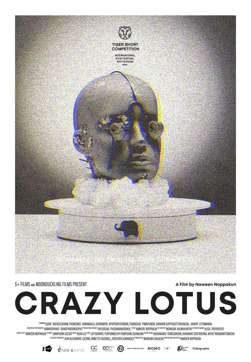 Crazy Lotus (S)