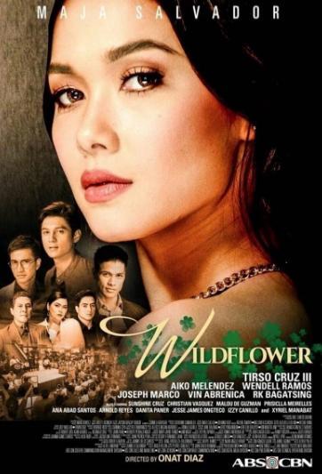 Wildflower (TV Series)