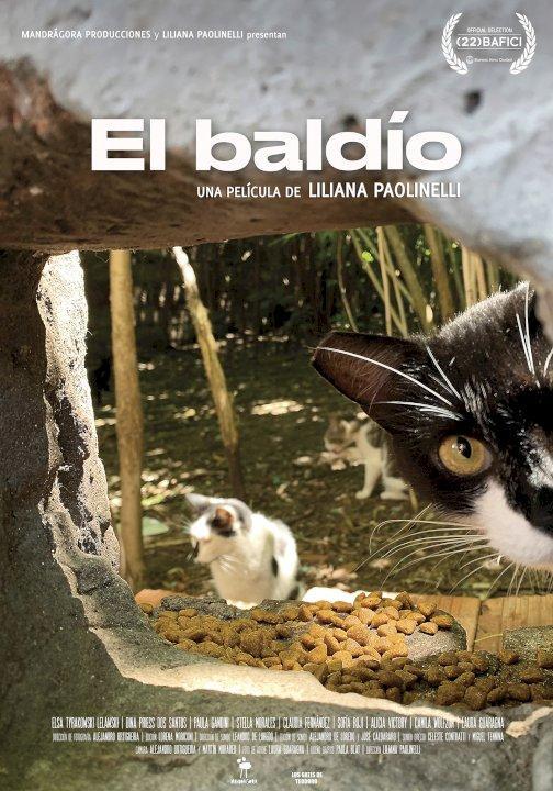 El baldío