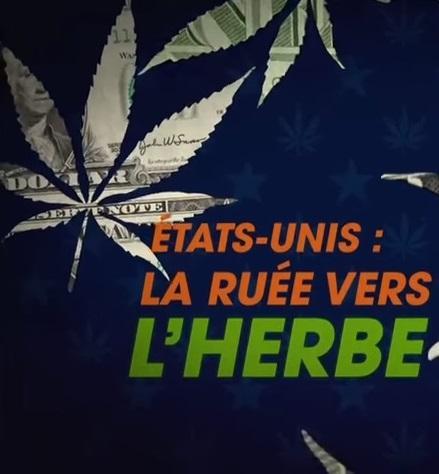 Etats-Unis: la ruée vers l'herbe (TV)