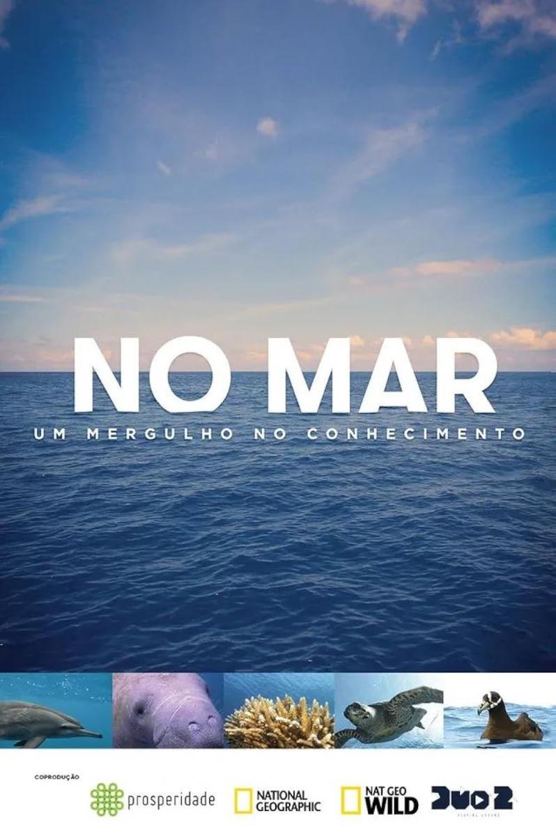 En el mar: una inmersión en el conocimiento