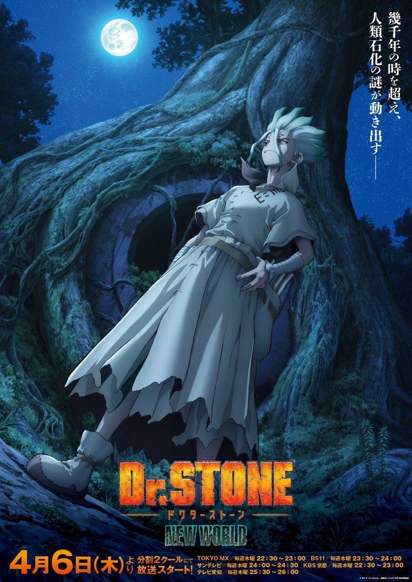 Dr. Stone: New World