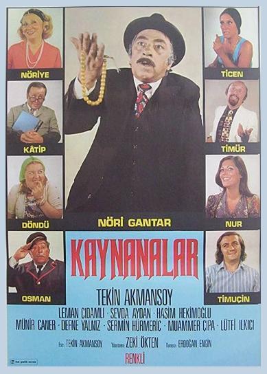 Kaynanalar (TV Series)