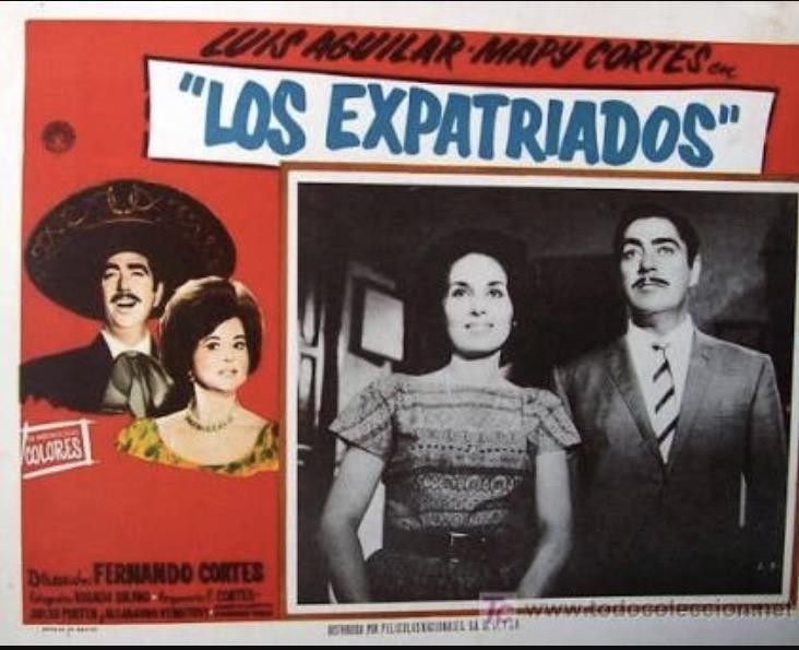 Los expatriados