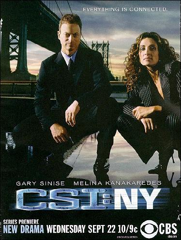 CSI: Nueva York (Serie de TV)