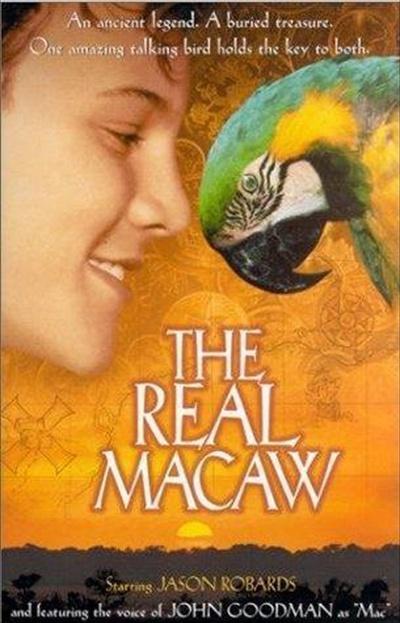 The Real Macaw