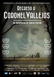 Regreso a Coronel Vallejos