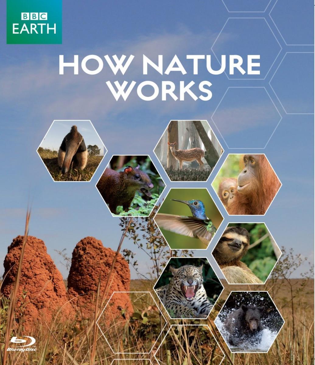 How Nature Works (Serie de TV)