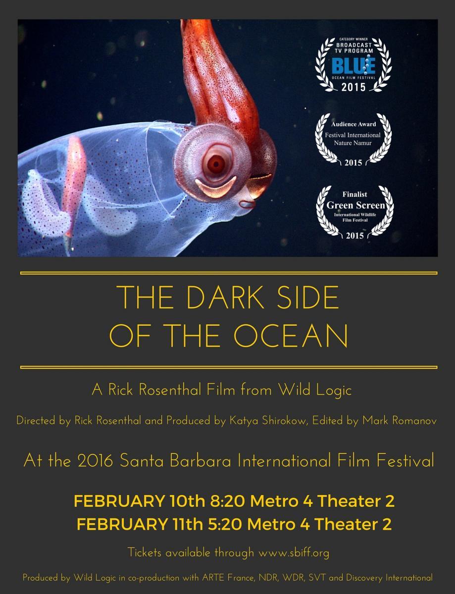 The Dark Side of the Ocean