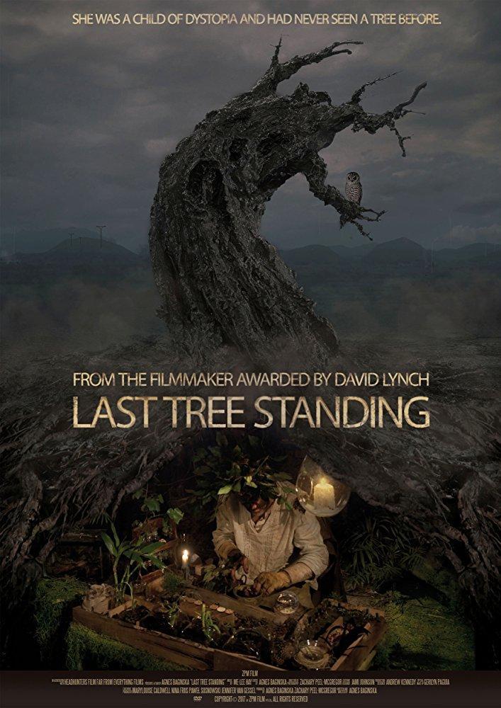 Last Tree Standing