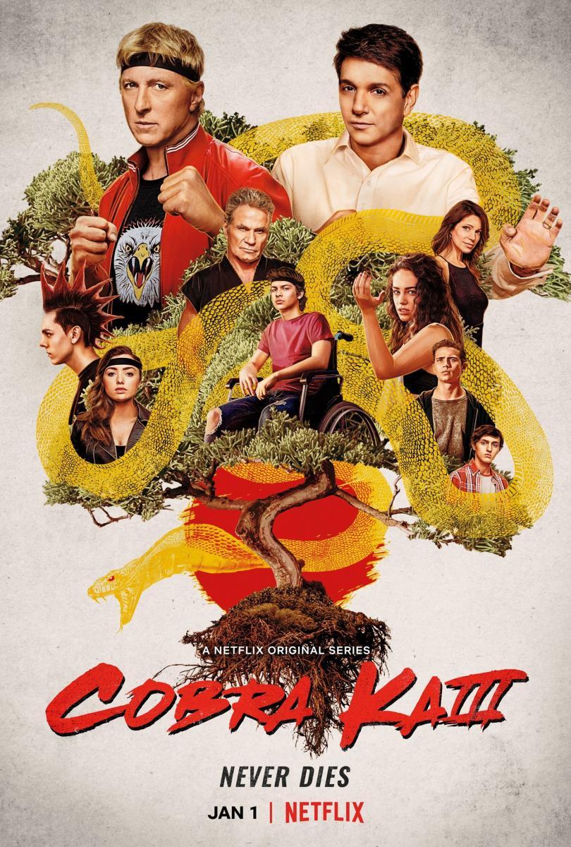 Cobra Kai (Serie de TV)