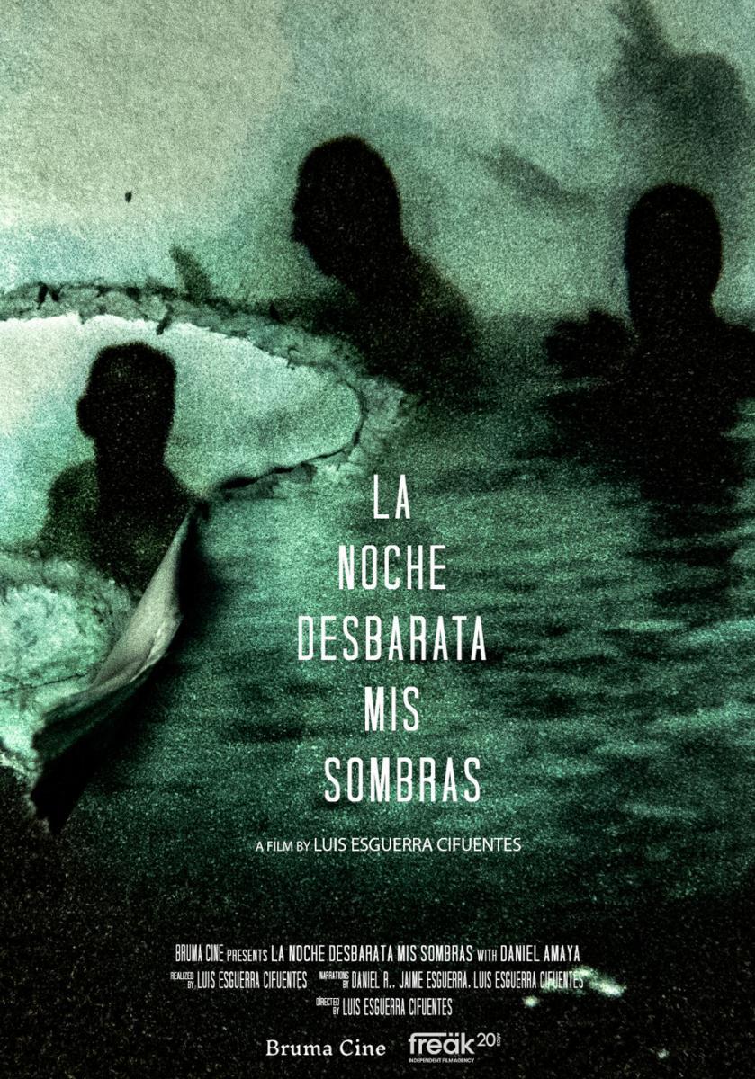 La noche desbarata mis sombras