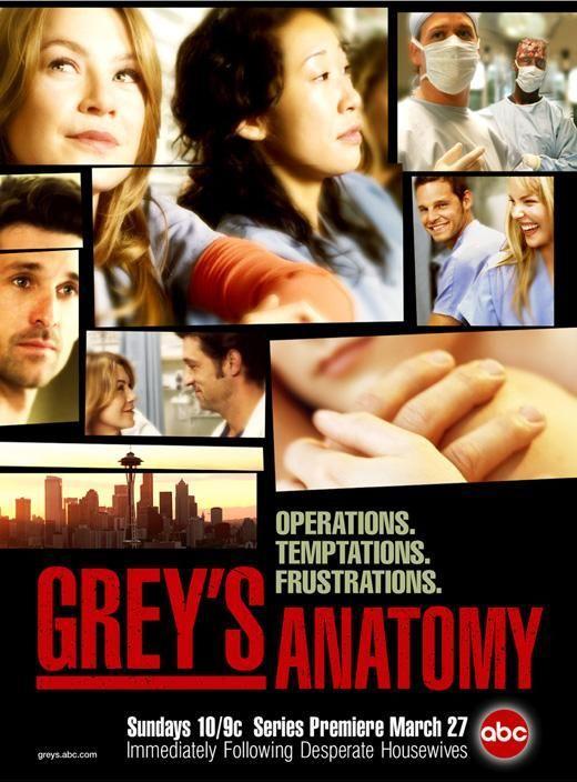 Grey's Anatomy (TV Series)