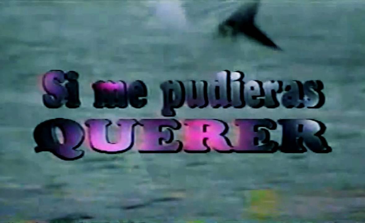 Si me pudieras querer (Serie de TV)