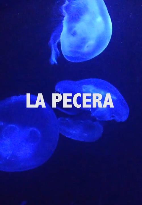 La pecera (C)