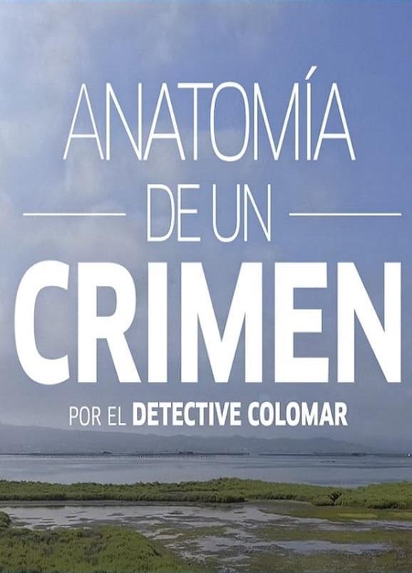 Anatomía de un crimen (Serie de TV)