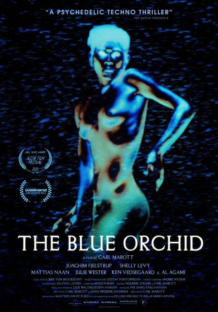 The Blue Orchid