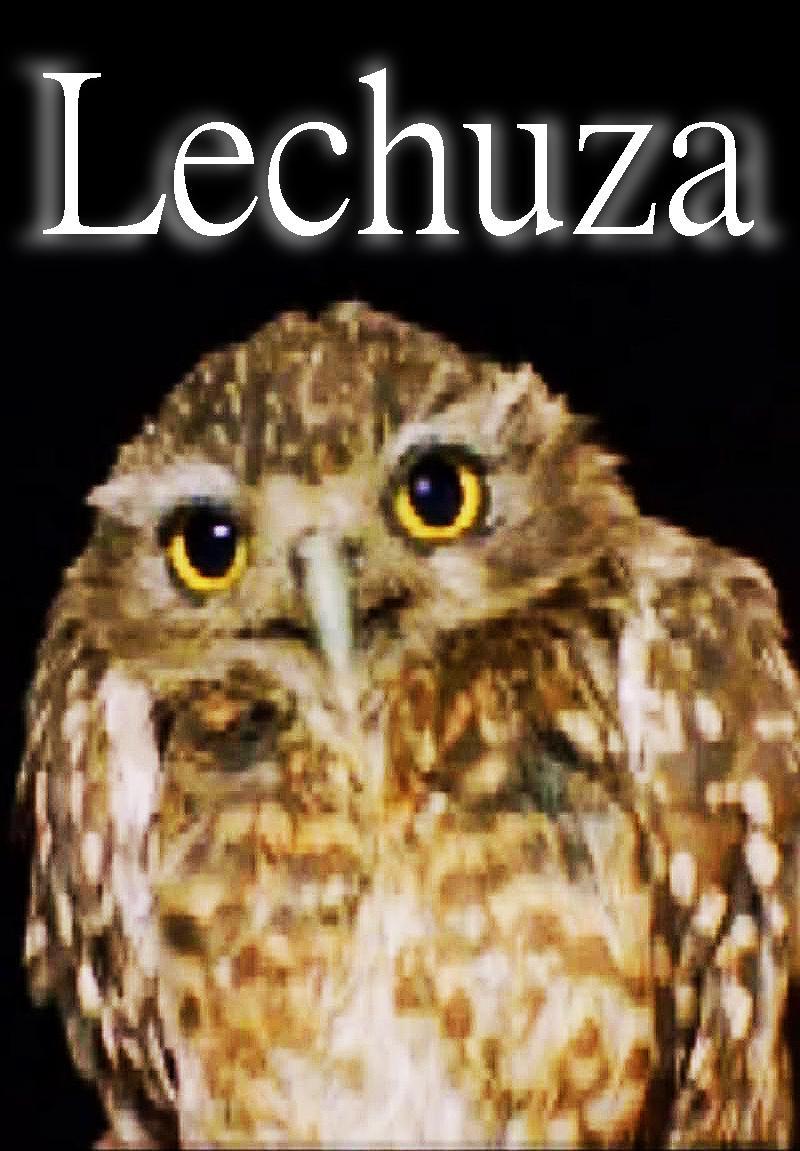 Lechuza (S)