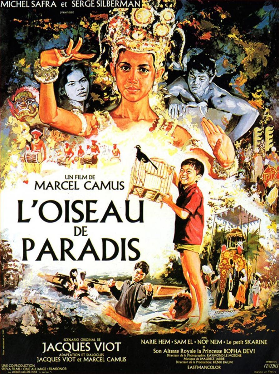 L'oiseau de paradis