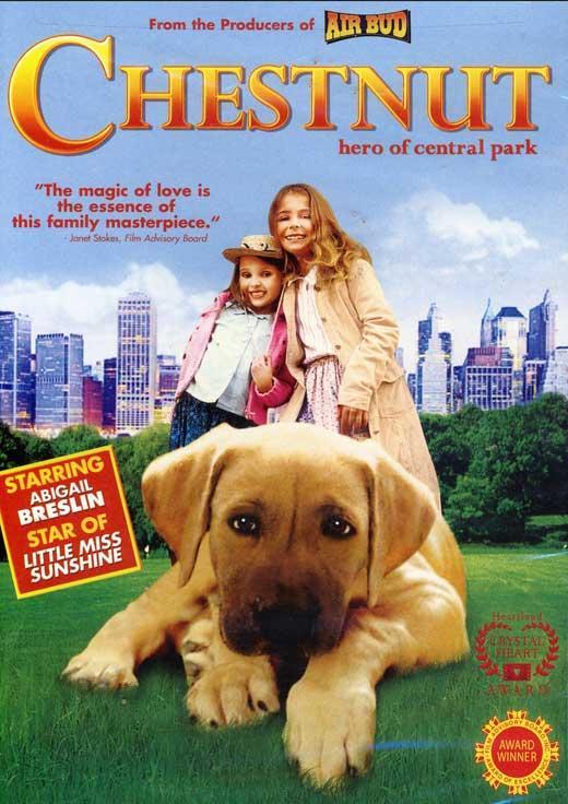 Chestnut: El héroe de Central Park