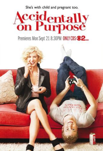 Accidentally on Purpose (TV Series)