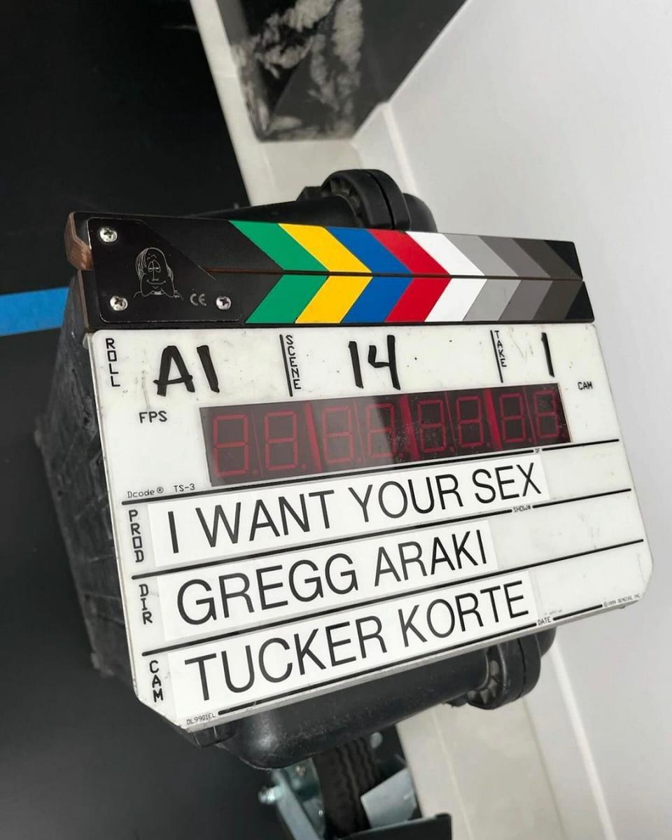 I Want Your Sex